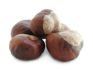Plozhy chestnut isolated on white