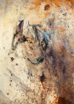  Wolf painting, color abstract effect on background