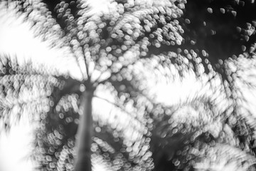 abstract bokeh background texture