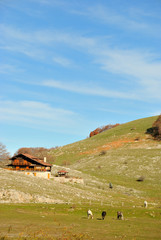 Campaegli in autunno - Cervara di Roma - Roma - Lazio - Italia