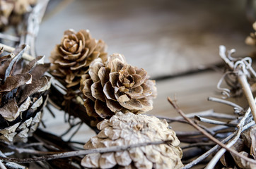 Christmas decoration, twigs and pine cones