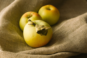 Tree apples on linen cloth