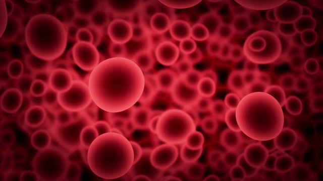 Blood cells background - 4k. Animation of some red blood cells. For backgrounds, transitions and wallpapers - 4k
