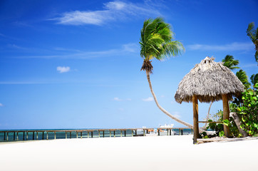 Tropical Sandy Beach in Dominican Republic, Punta Cana