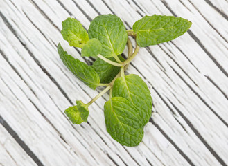 Fresh mint leaves over wooden background