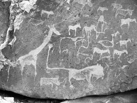 Prehistoric Bushman engravings at Twyfelfontein in Namibia