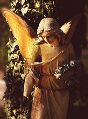 Vintage image of a sad angel on a cemetery against the backgroun