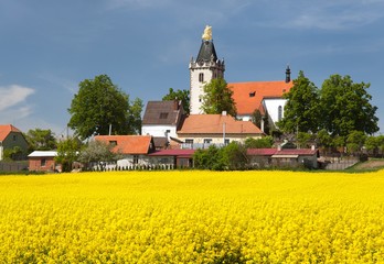 church and golden rapeseed field