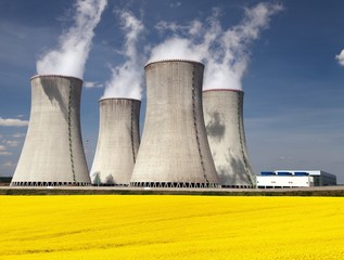 Cooling tower and rapeseed field