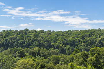 Fototapeta na wymiar Iguazu Park Aerial View