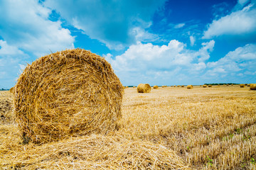 Straw bales on farmland