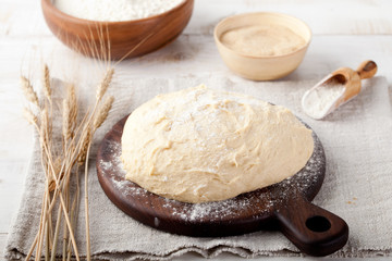 Yeast-fermented dough, pizza,bread with flour and wheat spikes 