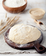 Yeast-fermented dough, pizza,bread with flour and wheat spikes 