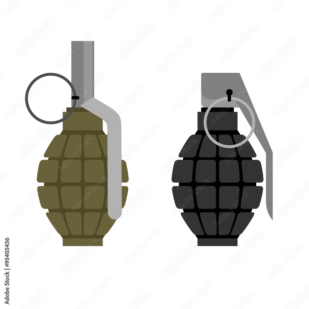 Wall mural Military grenade. Set of military hand grenade: green and black.