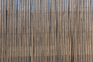 Old bamboo fence background