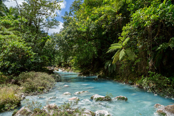 Naklejka na ściany i meble der türkise Fluss Rio Celeste in Costa Rica im Dschungel