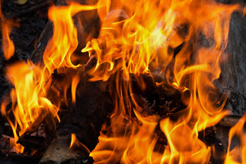 abstract background burning fire close up