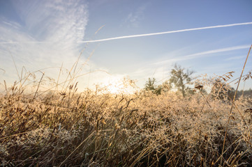 Obraz premium blue sky