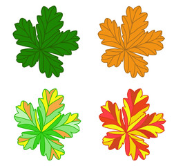 Grape leaves. Decorative autumn vine leaves painted in different