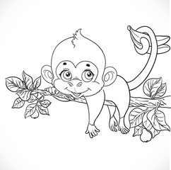 Cute monkey lazily lying on a branch and holds the tail of banan