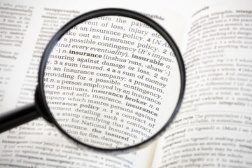 Insurance Magnified