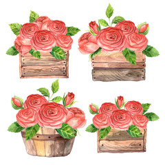 Roses in wooden box