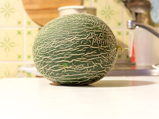 The vegetable Melon.