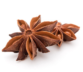 Star anise spice fruits and seeds isolated on white background c