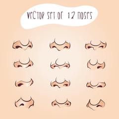 Set of 12 noses
