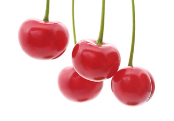 Cherries on a branch.