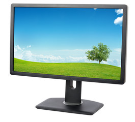 Monitor with nature on screen