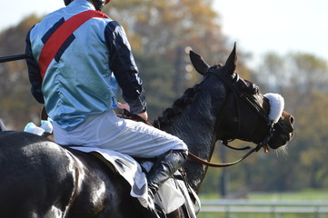 cheval de course