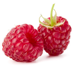 ripe raspberries isolated on white background close up