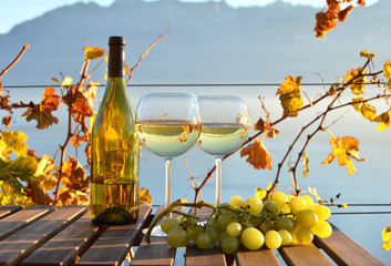 Wine and grapes against Geneva lake. Lavaux, Switzerland