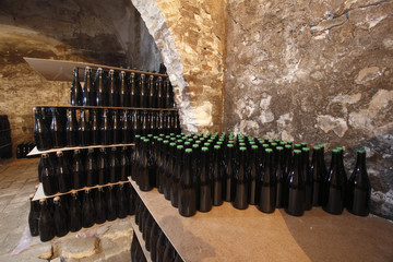 cana bottiglie vino nero di lambrusco
