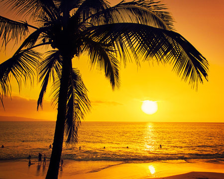 Fototapeta Tropical island sunset with silhouette of palm trees, hot summer day vacation background, golden sky with sun setting over horizon, people swimming in the ocean at sunset