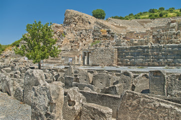 great amphitheater with stone fragments and trees