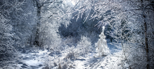 beleuchteter Weihnachtsbaum in verschneitem Winterwald