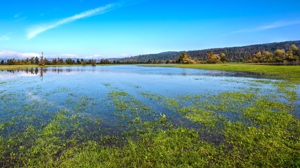Lake at Planinsko polje Karst field