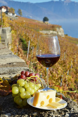 Red wine against vineyards in Lavaux, Switzerland