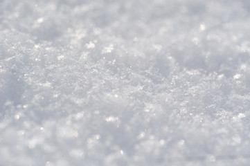 White background of snow in the winter