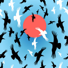Flocks of crows circling