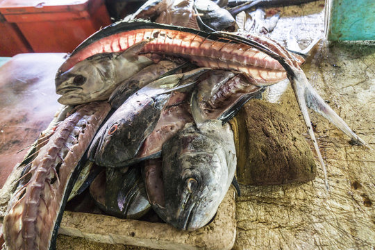 Fischmarkt in Kuta