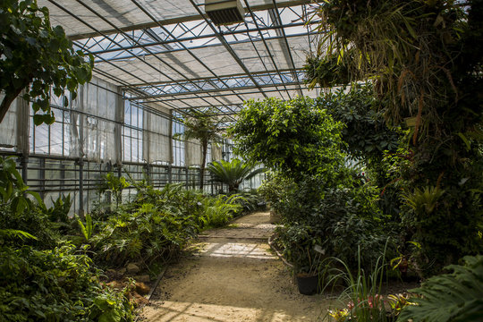 Ogr&oacute;d botaniczny