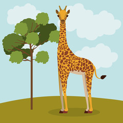 Fototapeta premium animal wildlife design 