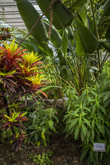 Ogród botaniczny © prozaque