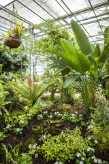 Ogród botaniczny © prozaque
