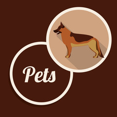 pet dog design 