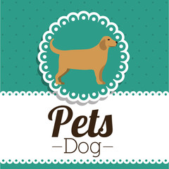 pet dog design 
