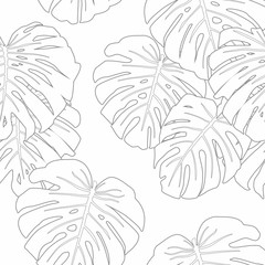 Mostera Leaves Seamless Pattern